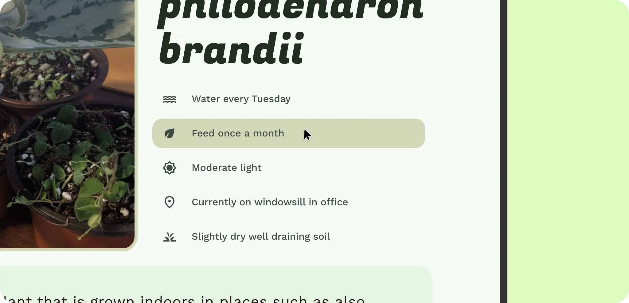 Additional interaction on
hover