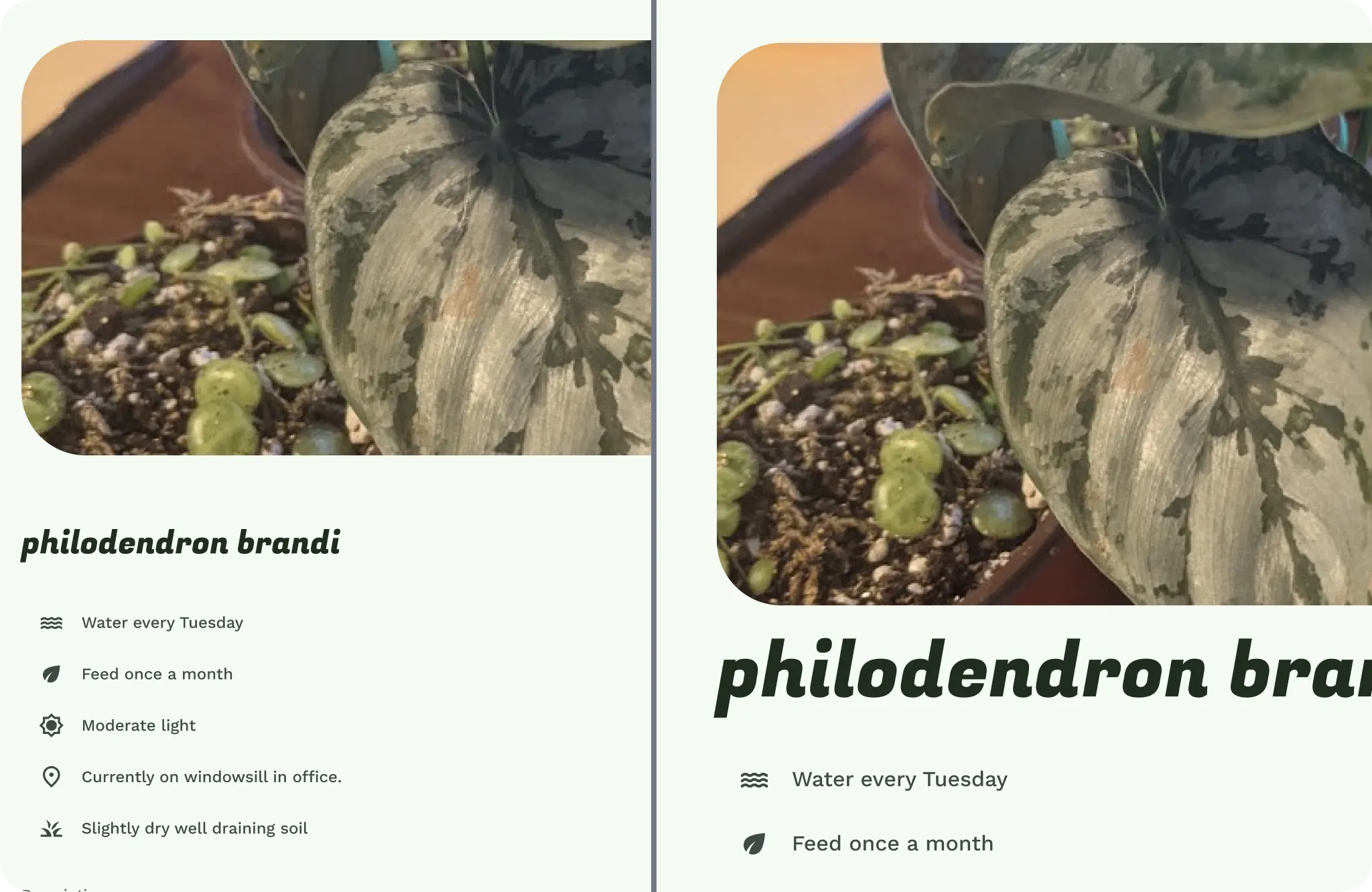 Scaling UI elements and text on larger screens