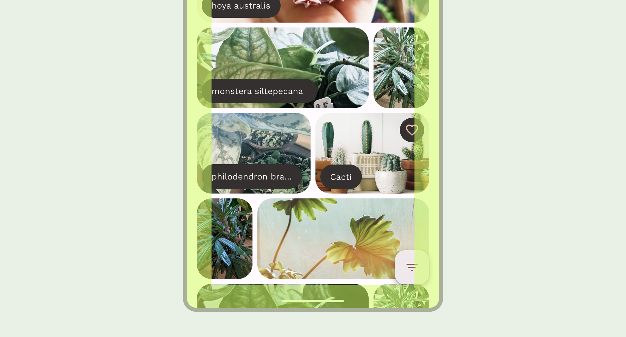 Body region of app contains app content