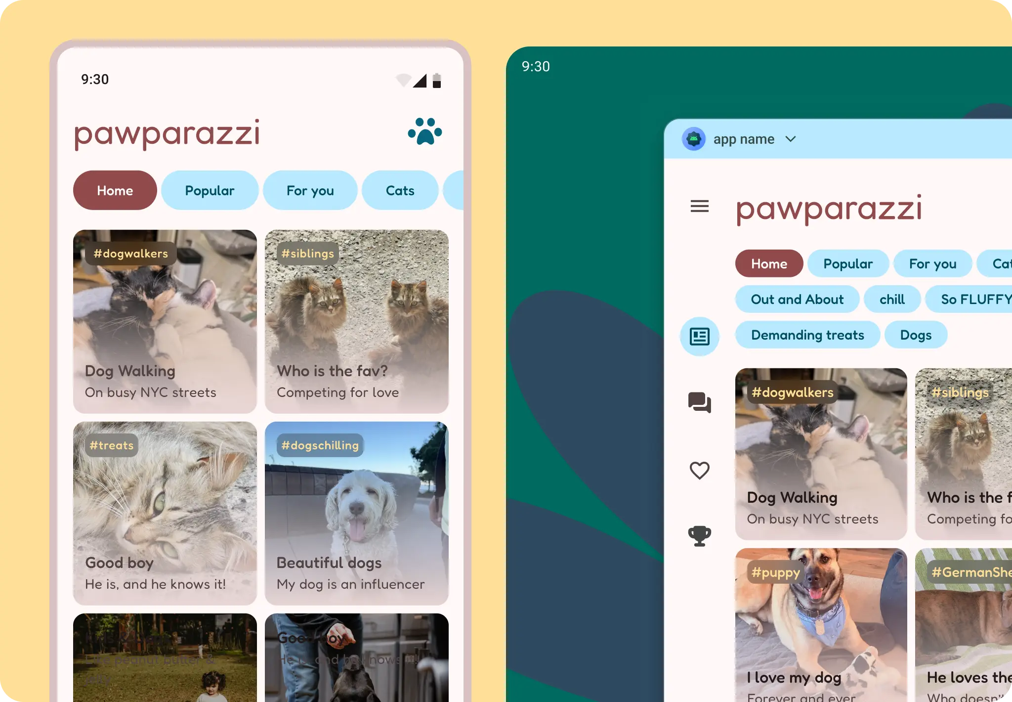 Pawparazzi 個案研究