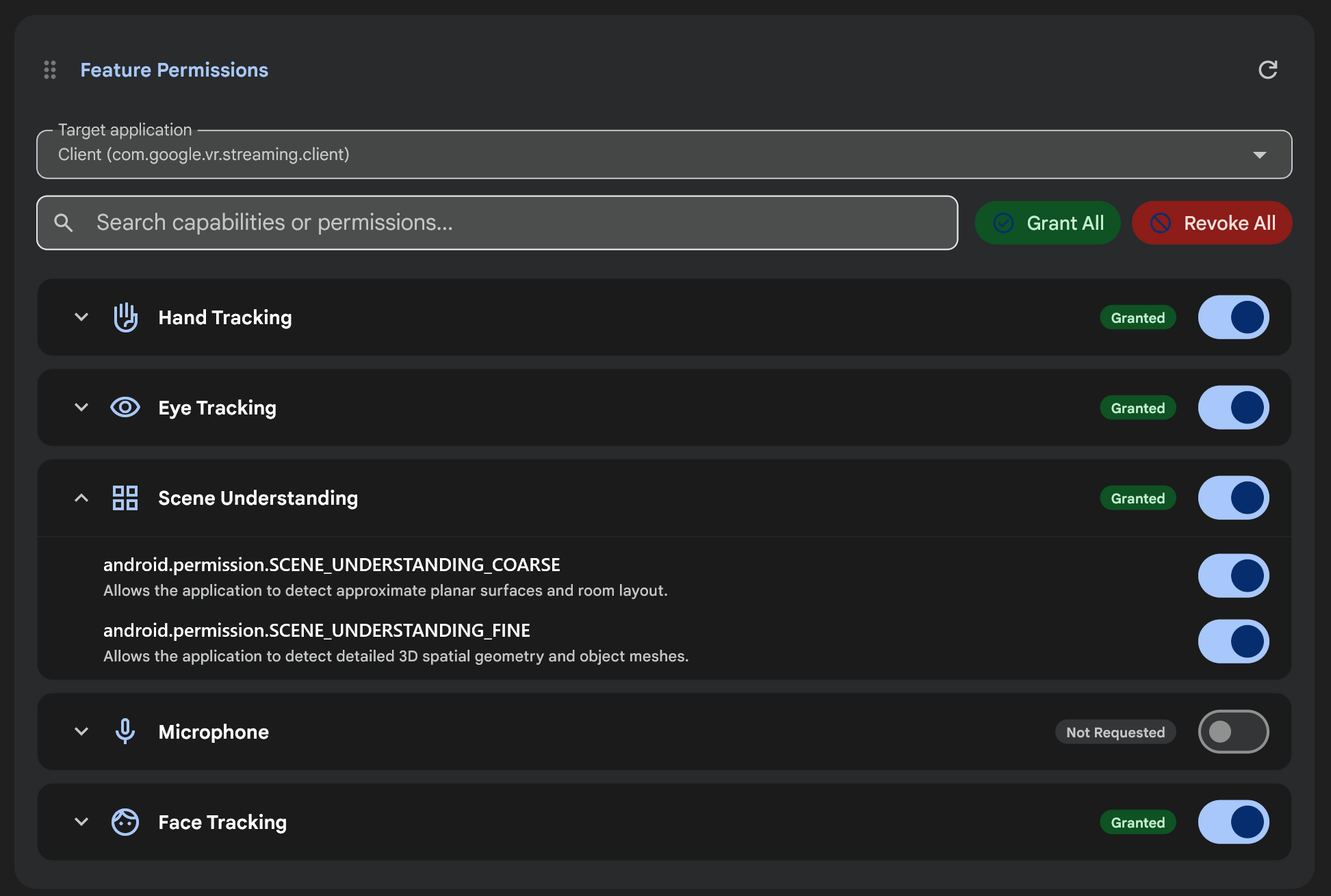 Die Karte „Feature Permissions“ (Funktionsberechtigungen) im Android XR Engine Hub