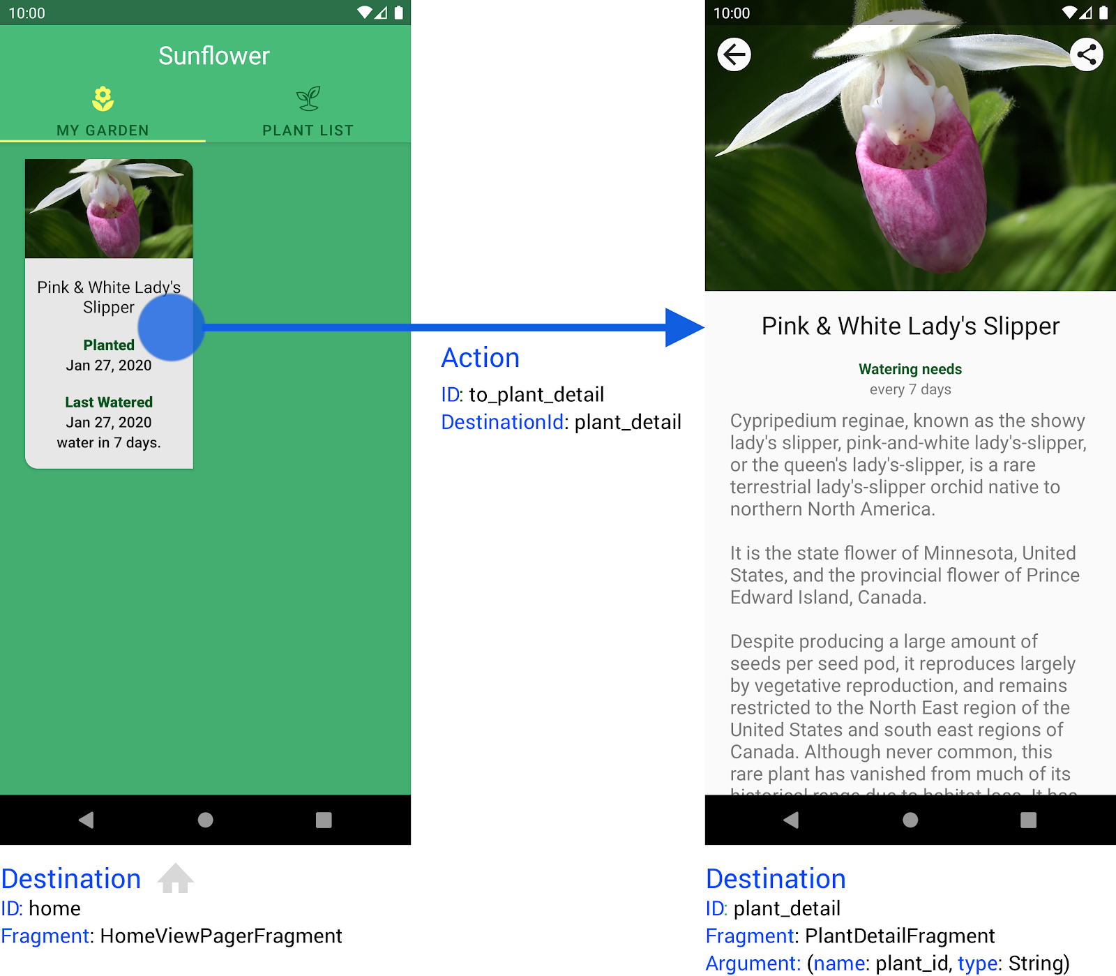 O app Sunflower tem dois destinos, além de uma ação que os conecta.