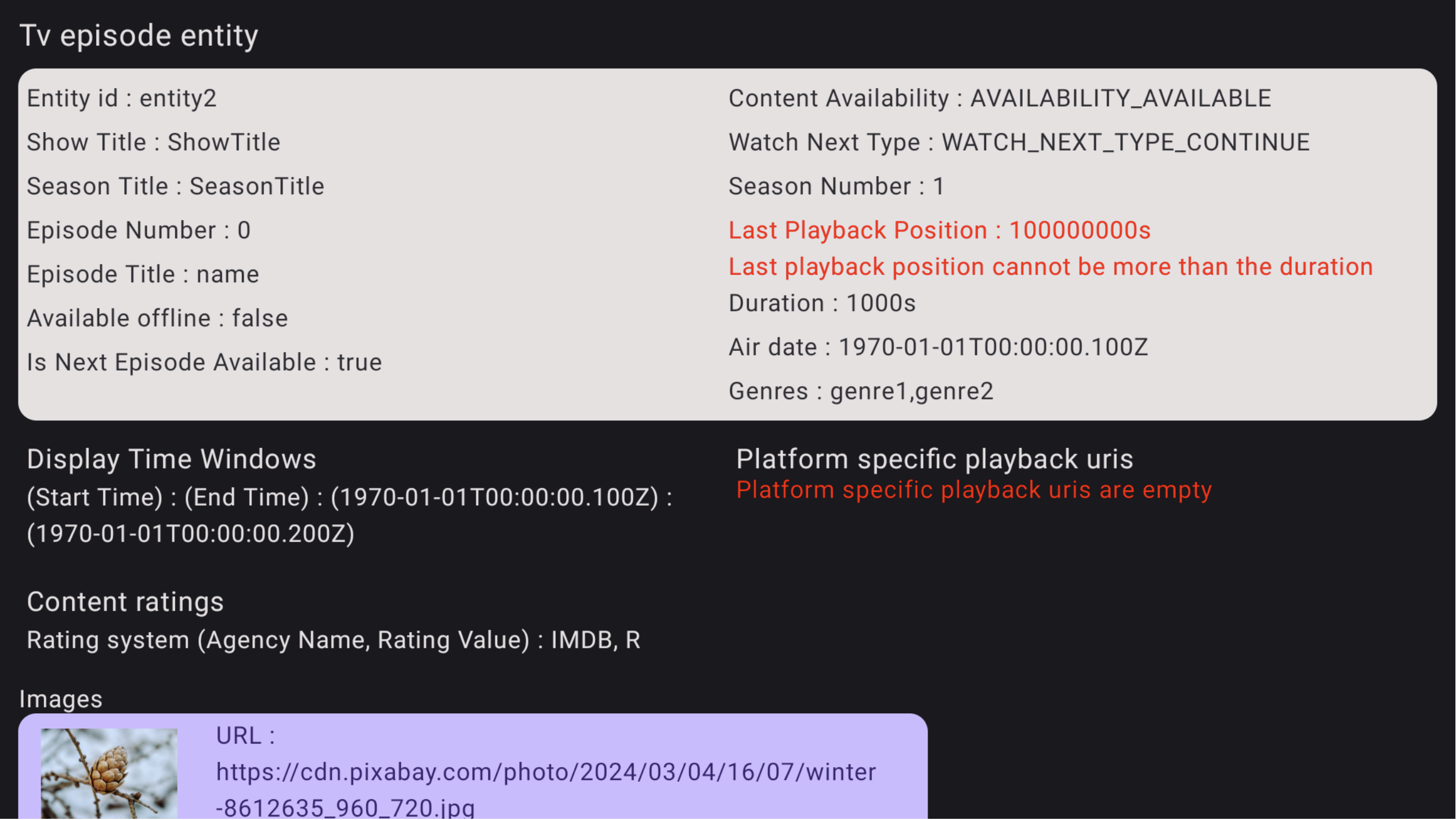 Detail error Aplikasi Verifikasi