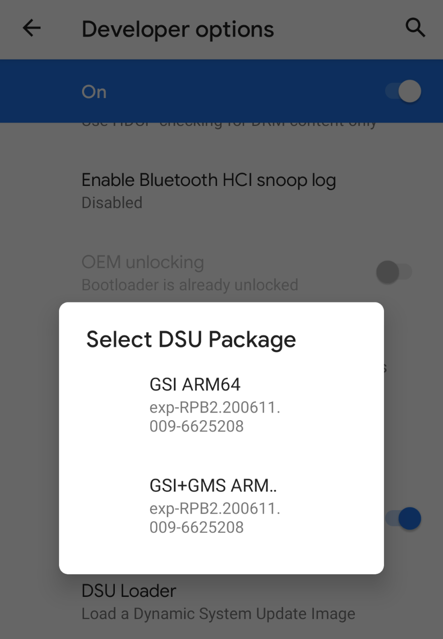 GSI 선택을 위한 DSU 로더 인터페이스