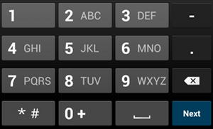 input del telefono