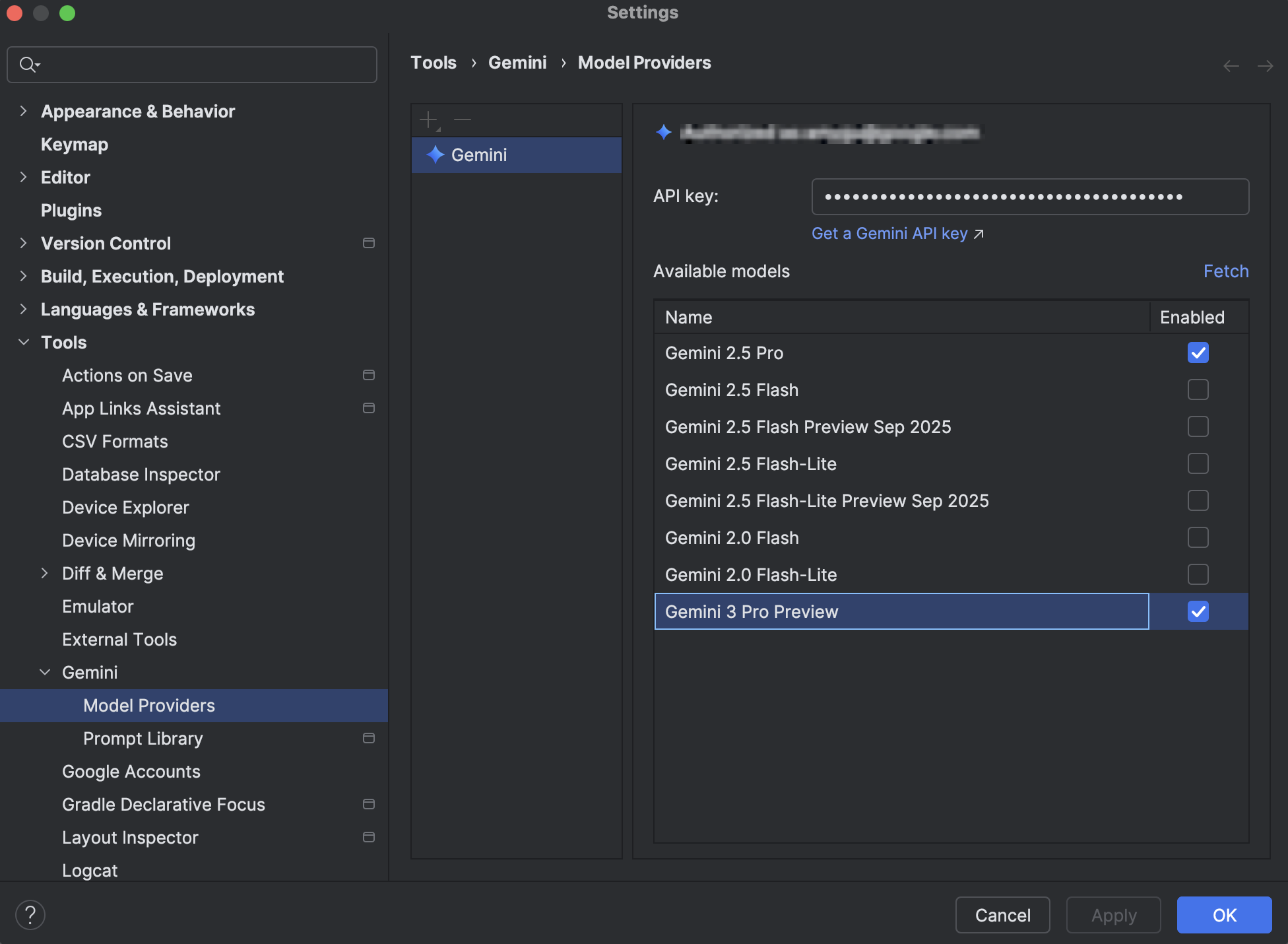 Add your own API key in the Gemini settings.