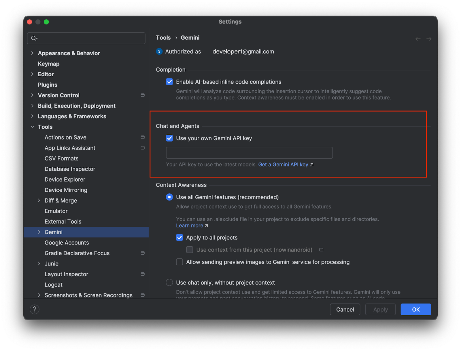 Gemini の設定で独自の API キーを追加します。