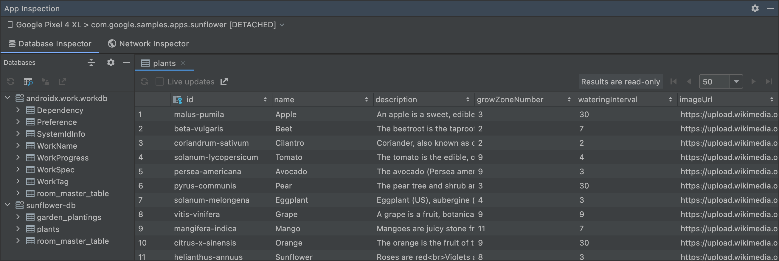 Database Inspector no modo off-line