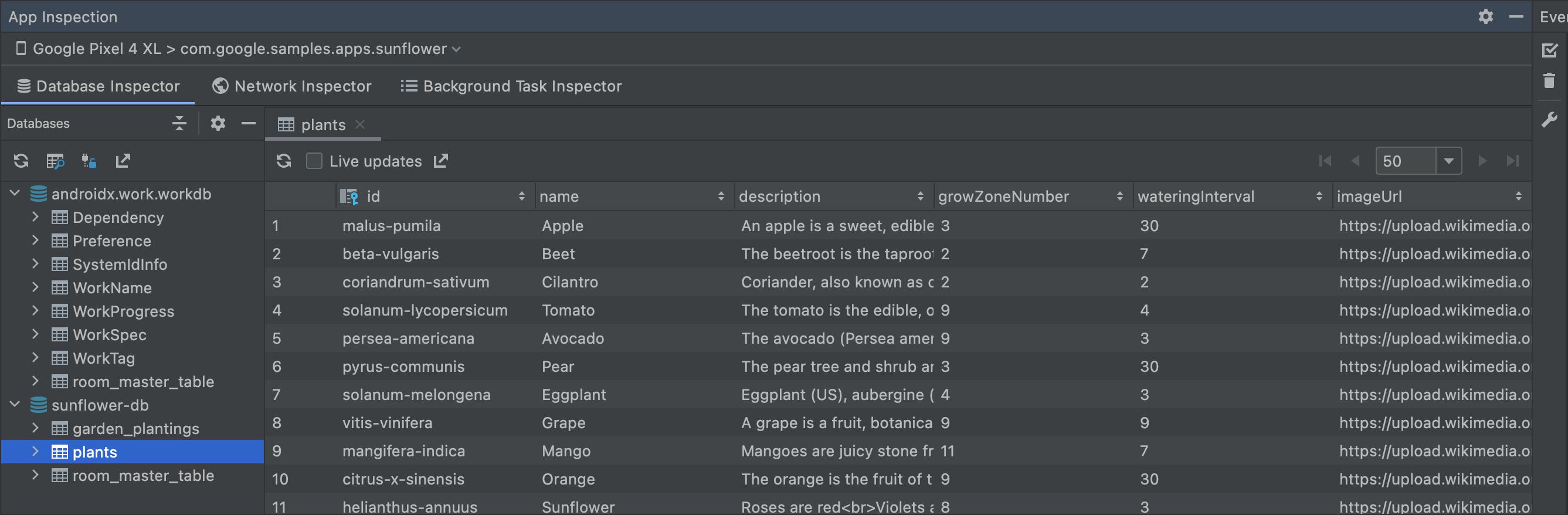 Database Inspector 창 스크린샷