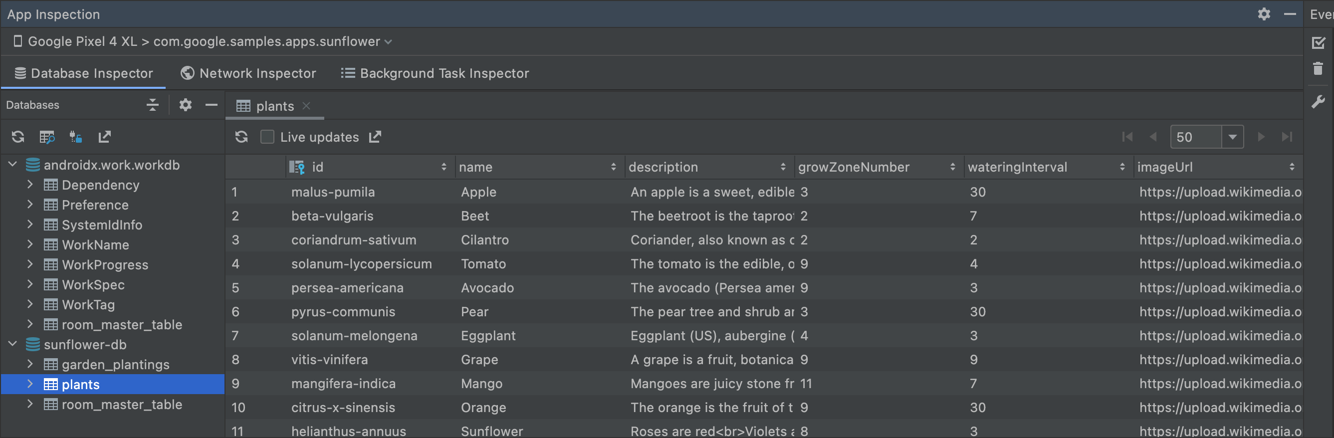 Captura de tela da janela do Database Inspector.