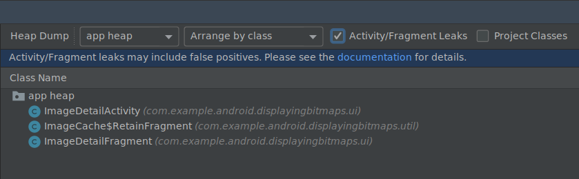 Profiler: Memory Leak Detection