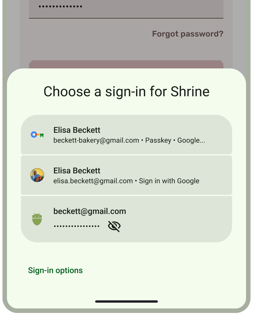 Sign-in options, Authentication