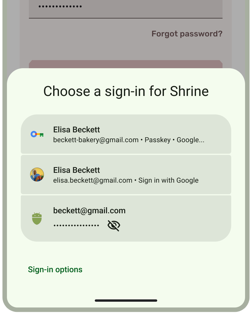 Captura de pantalla de la hoja inferior del Administrador de credenciales de Android.