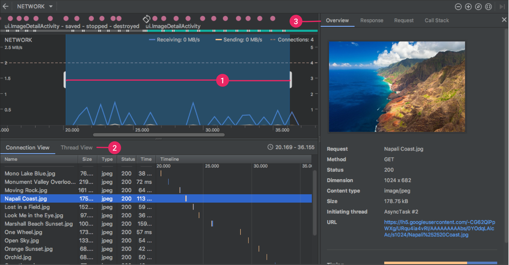 Figure 1. The Network Profiler window