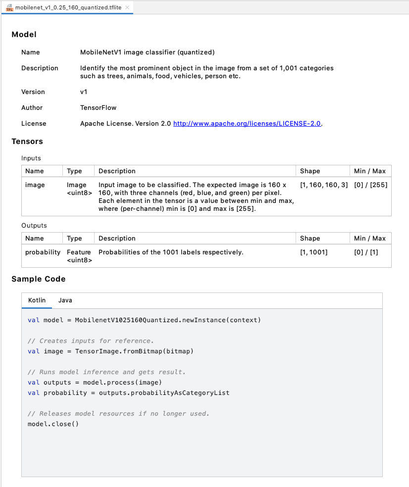 Screenshot of TensorFlow Lite model viewer