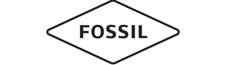 fossil os by google